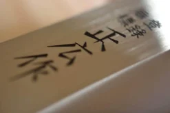 Couteau Yanagiba Masahiro pour gaucher 21cm acier MBS-26