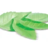 Décors en azyme 24 feuilles vertes Scrapcooking