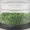 Hachoir manuel Gefu Tritare pour légumes et fines herbes