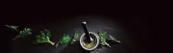 Mortier et pilon Cole & Mason en granit noir élégant - Diamètre 14cm