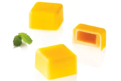 Moule en silicone et tritan professionnel Silikomart 24 pralines avec insert