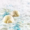 Moule en silicone professionnel Silikomart Silicon Flex 6 igloos