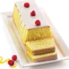 Moule professionnel en silicone Silikomart Uniflex plum cake 260x100mm