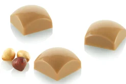 Moule professionnel en tritan Silikomart Chocado Domus 01-P 24 pralines