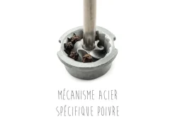 Moulin à épices manuel Peugeot Line en aluminium 12cm