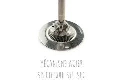 Moulin à épices manuel Peugeot Line en aluminium 12cm