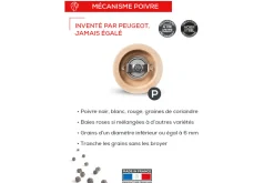 Moulin à poivre manuel Peugeot Fidji en bois et inox noir