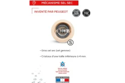 Moulin à sel sec manuel Peugeot Fidji en bois de hêtre et inox collection graphite 15cm