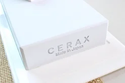 Pierre à aiguiser japonaise Suehiro Cerax céramique grains 5000 sur socle