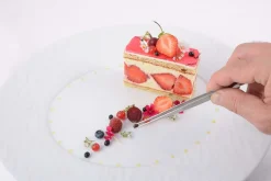 Pince à dresser professionnelle Louis Tellier 15.8cm tout inox