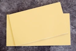 Planche à découper japonaise Hasegawa Pro-Soft