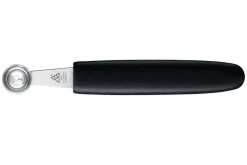 Pomme parisienne Triangle ronde inox