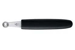 Pomme parisienne Triangle ronde inox