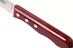 Set de 12 couteaux à steak Tramontina Jumbo lame 13cm manche rouge