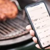Sonde de foyer EGG Genius pour Big Green Egg